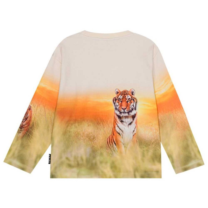 Sunrise Tiger Boys' Molo Mountoo Sweatshirts Cardigans | KSA000767