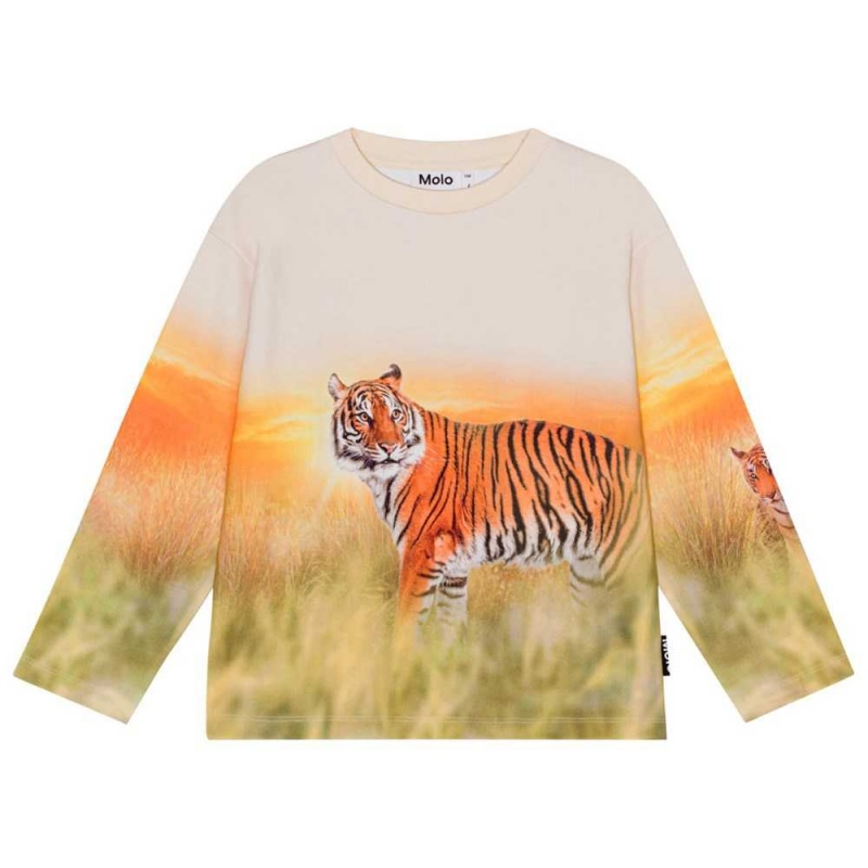 Sunrise Tiger Boys\' Molo Mountoo Sweatshirts Cardigans | KSA000767