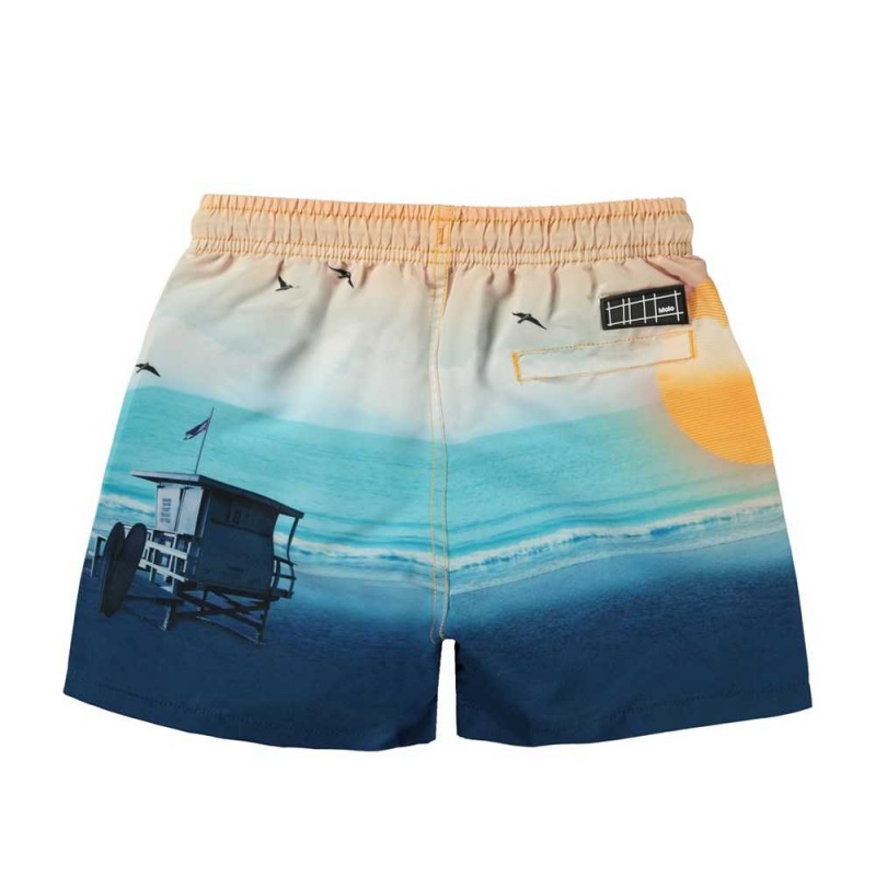 Sunset Beach Molo Niko Swimshorts | KSA001145