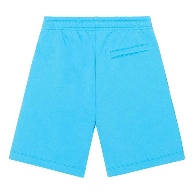 Turquoise Blue Boys' Molo Adrian Shorts | KSA000731