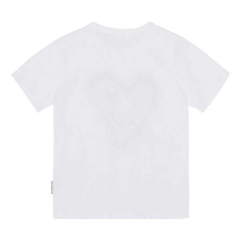 Wave Maker Boys' Molo Riley T Shirts Tops | KSA000807