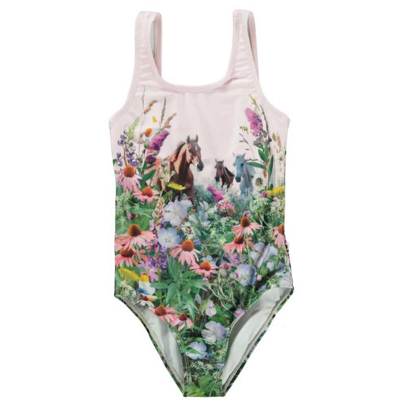 Wild Horses Molo Nika Swimsuits | KSA001208